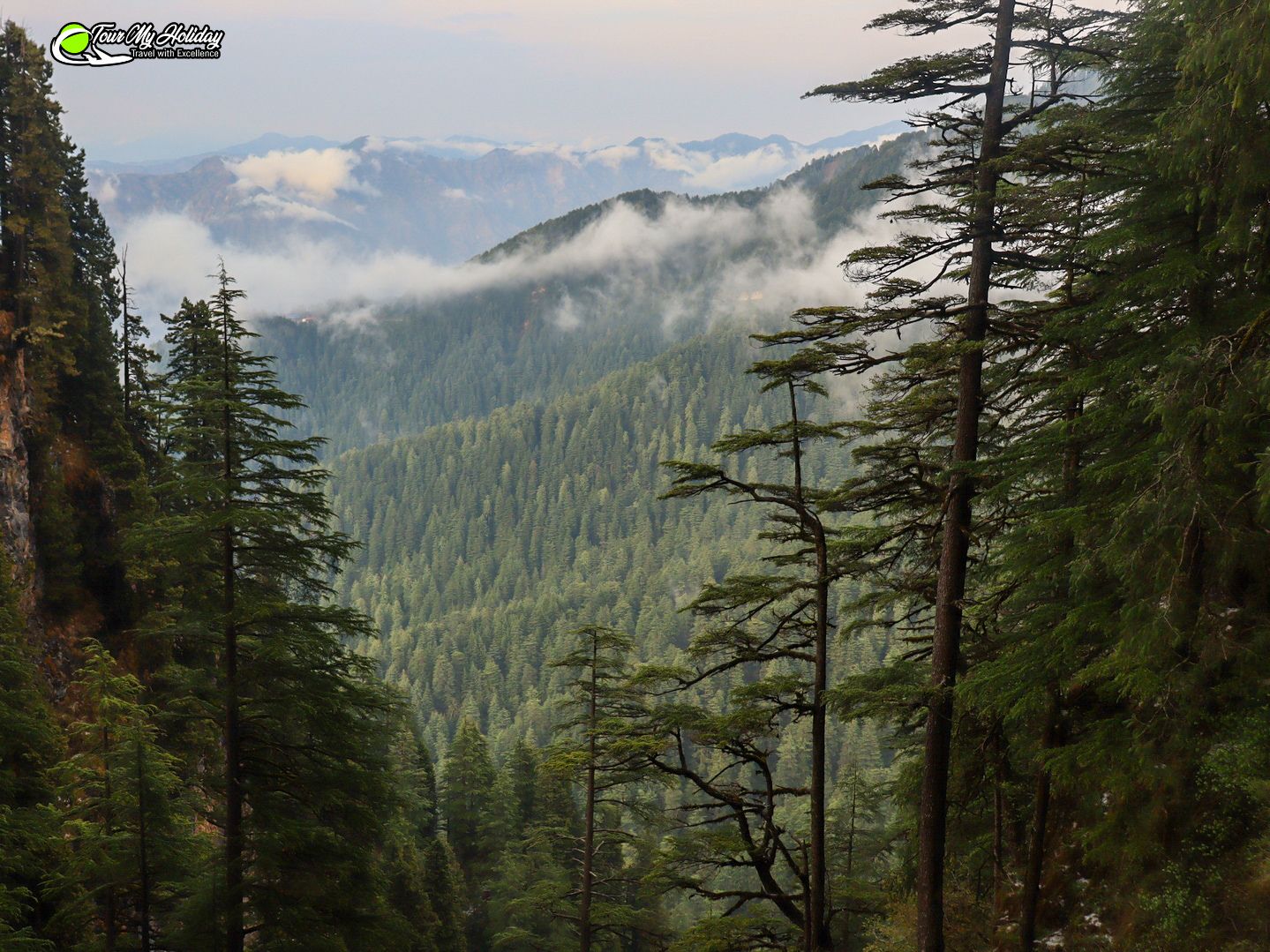 Chakrata Weekend Getaway | Budget-Friendly Tour Packages